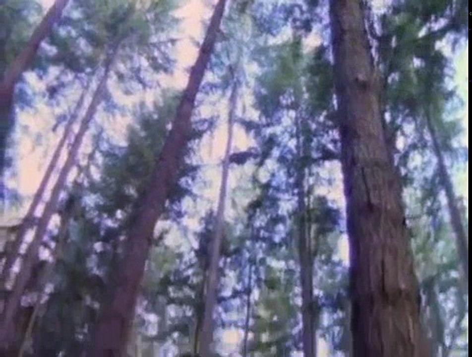 Hawkeye S01 E01