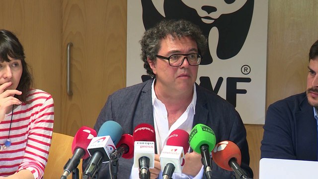 WWF pide un eje ibérico para luchar contra incendios