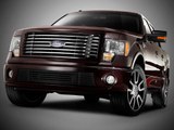 2010 FORD HARLEY-DAVIDSON F-150