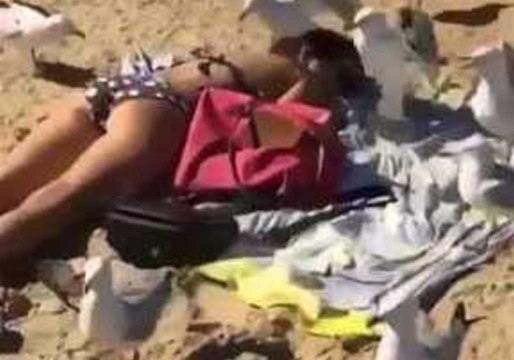 Birds Flock to Peacefully Sunbathing Woman