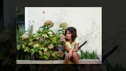 10 Of The Funniest Animal Photobombs Ever