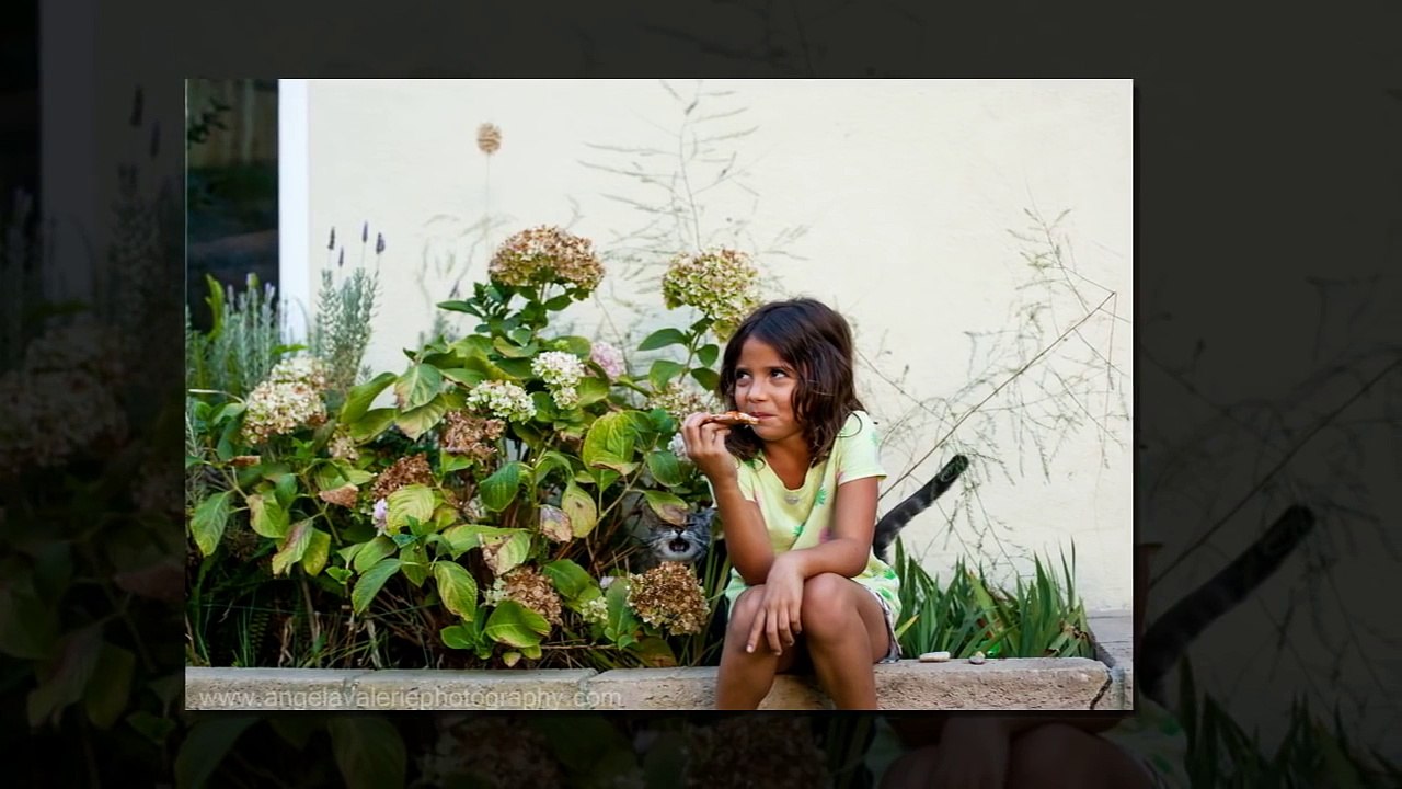 10 Of The Funniest Animal Photobombs Ever