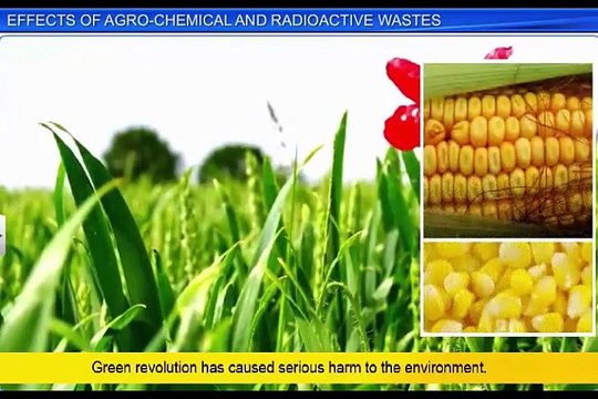 (8)CBSE Class 12 Biology, Environmental Issues – 8, Effect of Agro-Chemical And Radioactive Wastes