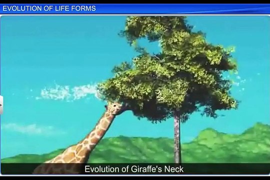 (2)CBSE Class 12 Biology, Evolution – 2, Evolution of Life Forms