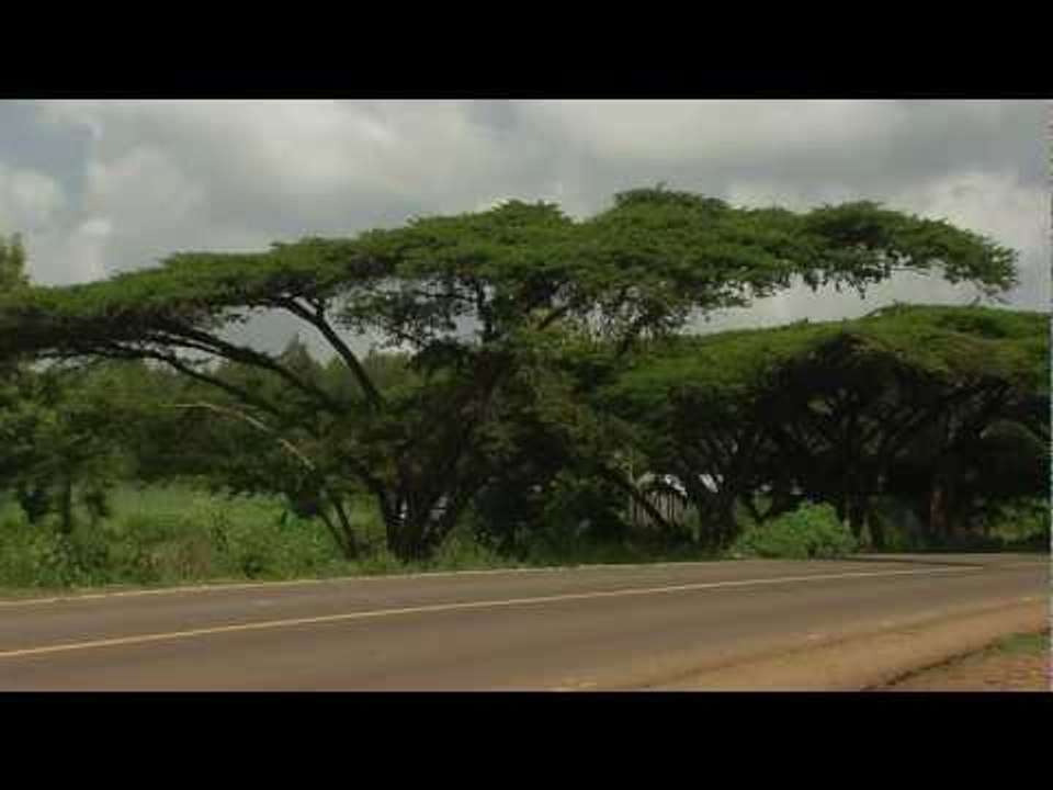 The new BMW R 1200 GS Riding scenes tour