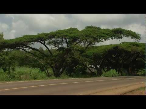 The new BMW R 1200 GS Riding scenes tour