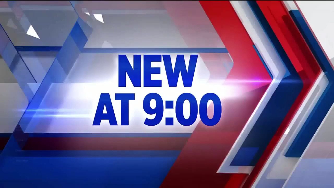 Tree Trimmer Dies After Gruesome Chainsaw Injury in Colorado