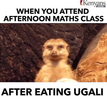 African powerful Traditional Healer Sangoma Lost Love Spells +27634299958