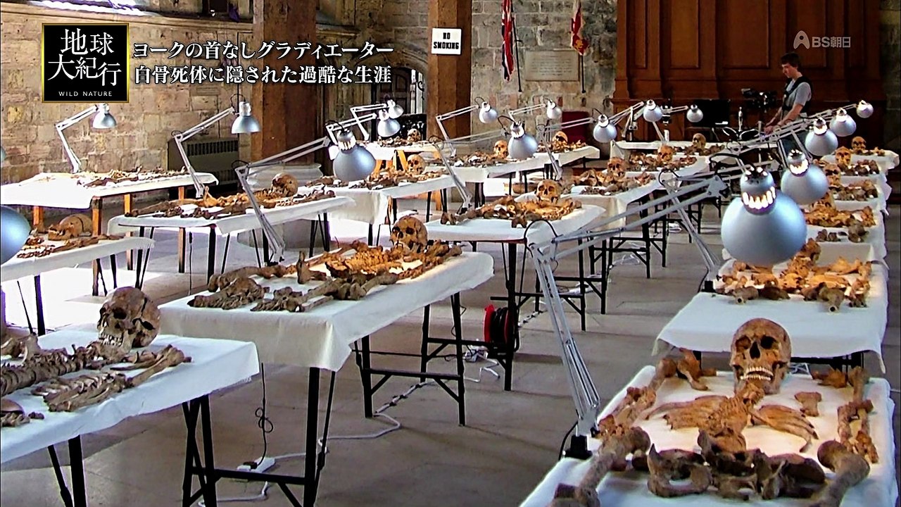 ヨークの首なしグラディエーター 2000年前に死んだ80人の謎