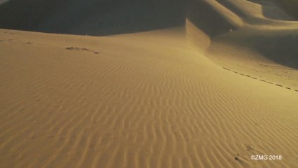 Africa May Have Just Experienced Its Hottest Day EVER Recorded