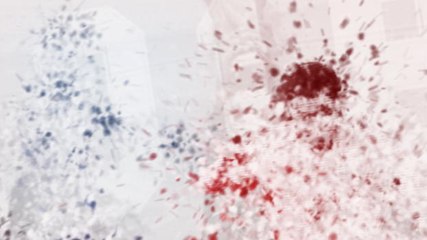 Fans stop traffic in Paris to celebrate France quarter-final victory