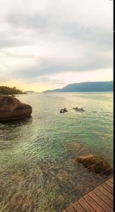 view6