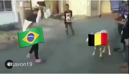 شاهد.. كيف سخرت الجماهير من إطاحة المنتخب البلجيكى بالبرازيل