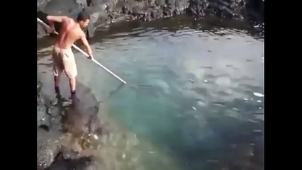 Catches and lands giant fish with a gaff