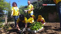 Andria: bambini e disabili coltivano l'orto sociale in città, speranza per un futuro migliore