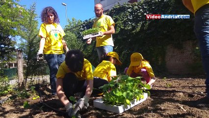 Download Video: Andria: bambini e disabili coltivano l'orto sociale in città, speranza per un futuro migliore