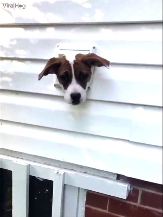 Elle rentre chez elle et trouve ça... Tellement drole