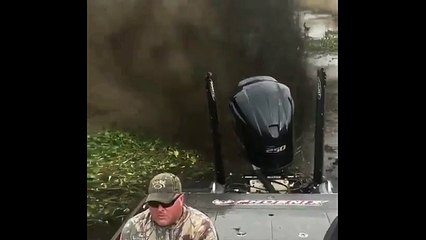 Outboard 250hp stuck in the mud and grass