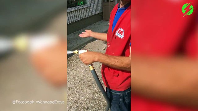 Une station service recouverte de milliers de papillons éphémères