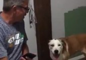 Dad Soothes Dogs Freaked by Fourth of July Fireworks With Special Rendition of America the Beautiful