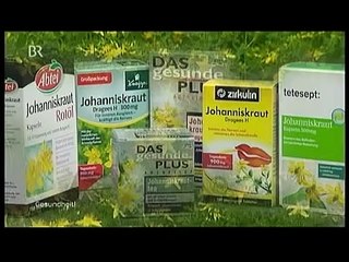 Siegfried Bäumler Das Johanniskraut