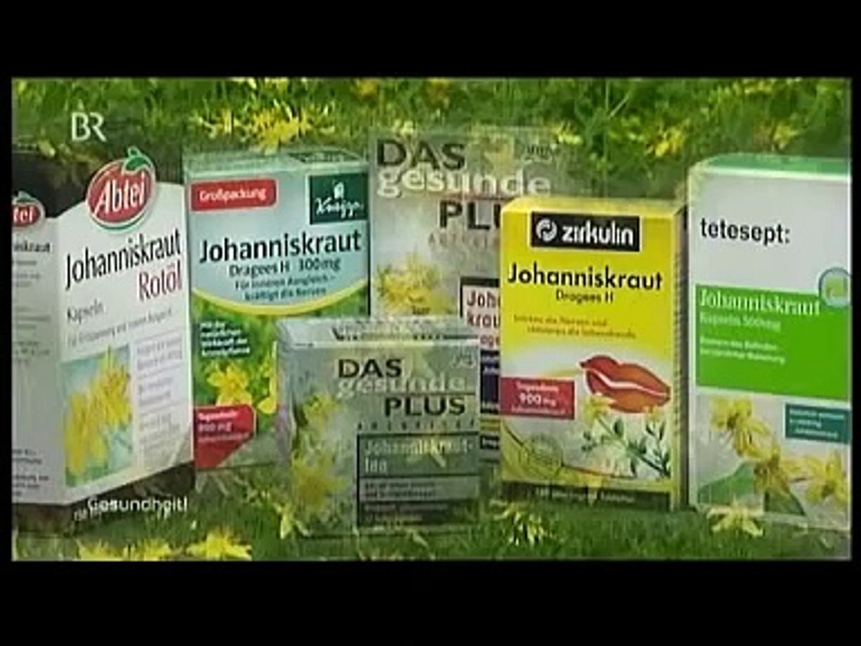 Siegfried Bäumler Das Johanniskraut