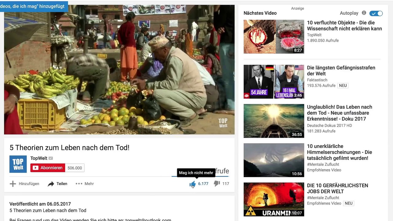 10 Hybrid Tiere Die es wirklich gibt!