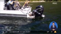[별별영상] '구사일생' 범고래 피해 보트로 뛰어든 물개