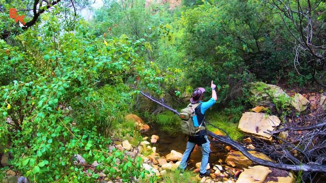 We DISCOVERED Ancient Cave Paintings!