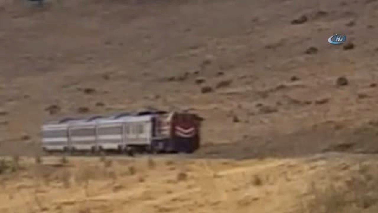 Çoban ve Koyun Sürüsü Trenin Altında Almaktan Saniyelerle Kurtuldu