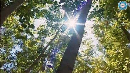 مسلسل الخوالي الحلقة 10 العاشرة   Al Khawali HD