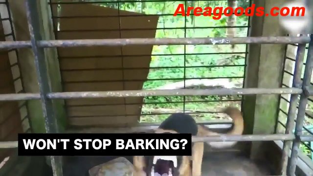 How to Stop Your Neighbors' Dog from Barking Anti Barking Device