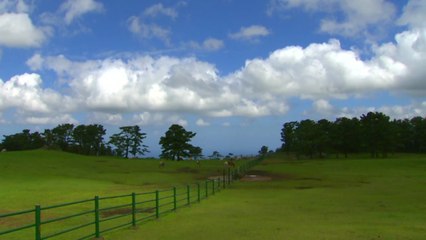 [날씨] 오늘 소서(小暑)...서쪽은 덥고 동쪽은 선선 / YTN