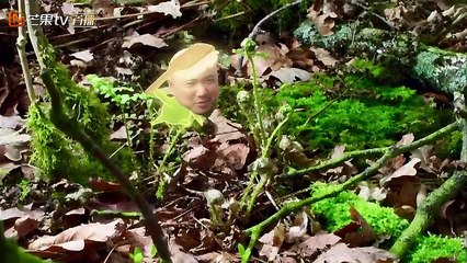 《向往的生活2》：向往小哥哥出征“叔圈101”，何炅黄磊徐峥谁能C位出道？ Back to Field S02【湖南卫视官方频道】