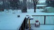 * Snow storm time lapse - The amazing snow storm footage