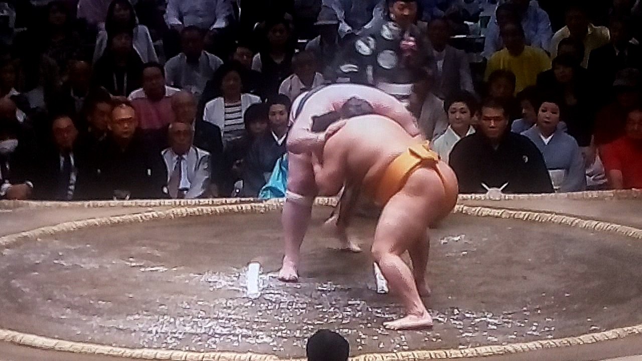 臥牙丸 vs 旭大星 2018年大相撲夏場所11日目 20180523
