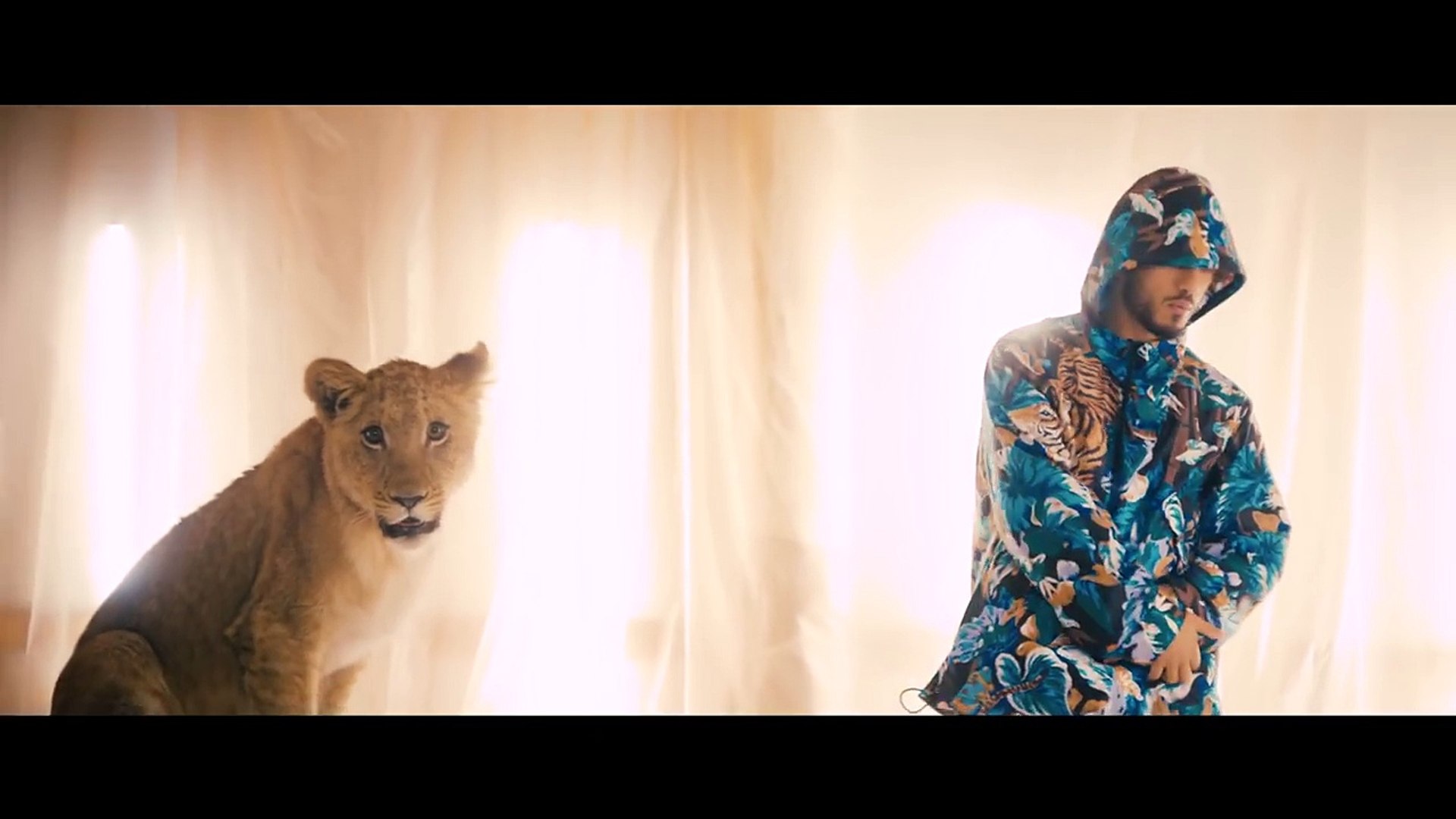 ⁣Seyed - UNO (prod. by AccentBeats) [Official 4K Video]