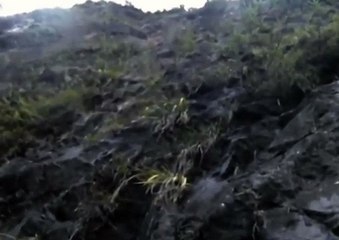 야마토 릴게임 황금성게임  DKRT2쩜 C0M ※※ 종합릴게임