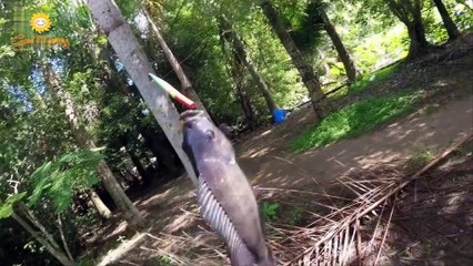 Câu Cá Vườn Sinh Thái Nắng Mới Giồng Riềng Kiên Giang