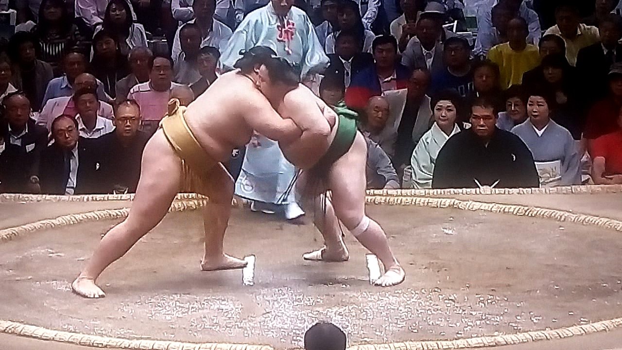 佐田の海 vs 輝 2018年大相撲夏場所11日目 20180523