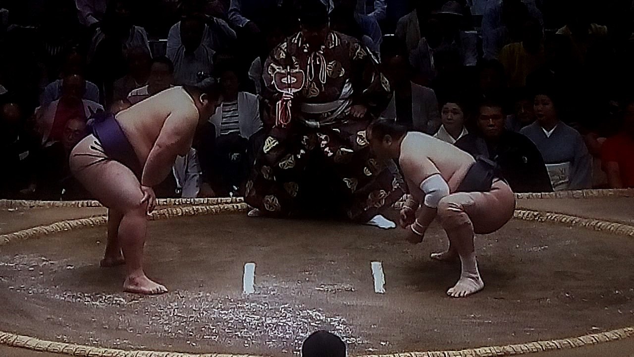 大奄美 vs 安美錦 2018年大相撲夏場所11日目 20180523