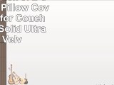 CaliTime Pack of 2 Cozy Throw Pillow Covers Cases for Couch Sofa Bed Solid Ultra Soft