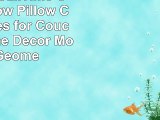 Pack of 2 CaliTime Canvas Throw Pillow Covers Cases for Couch Sofa Home Decor Modern