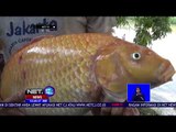 Ikan di Sungai Padang Mati Mendadak Diduga Tercemar Limbah Pabrik - NET 12