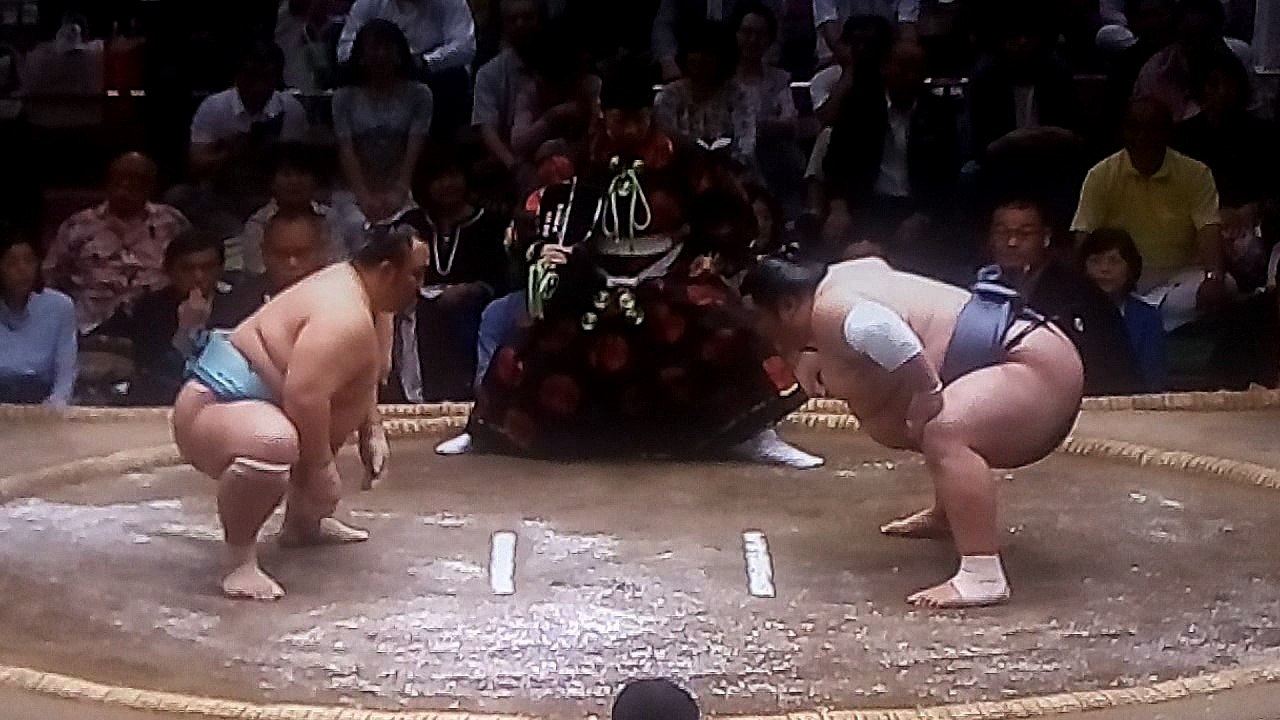 琴勇輝 vs 徳勝龍 2018年大相撲夏場所12日目 20180524