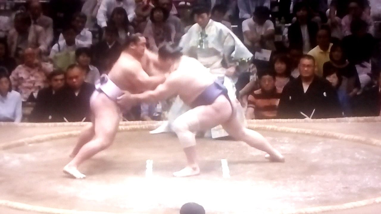 琴恵光 vs 青狼 2018年大相撲夏場所12日目 20180524