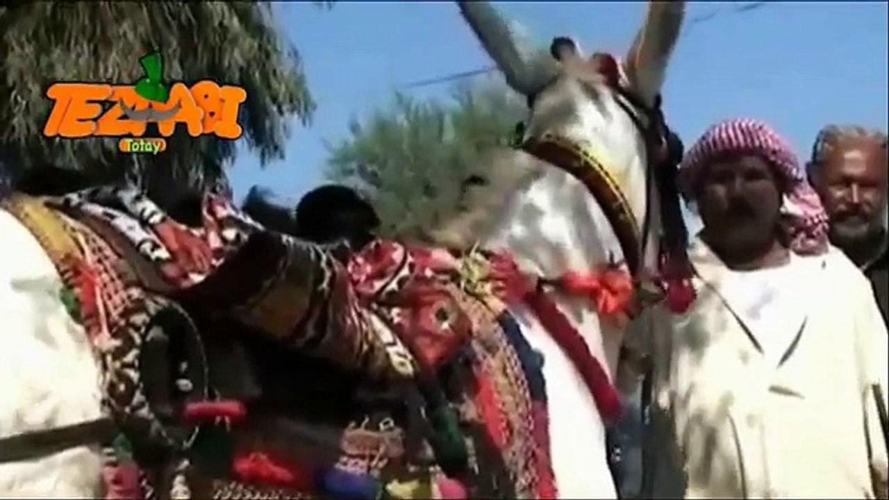 Best khota mandi lahore 2018 best funny clip