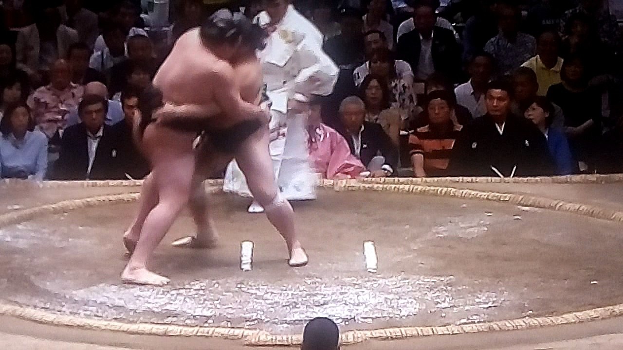 竜電 vs 佐田の海 2018年大相撲夏場所12日目 20180524