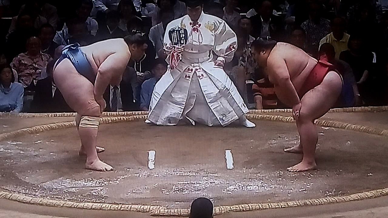 碧山 vs 千代丸 2018年大相撲夏場所12日目 20180524