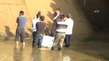 İnşaat İşçisi Serinlemek İçin Girdiği Sulama Kanalında Boğularak Can Verdi